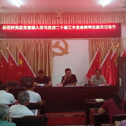 花石村党总支部深入学习贯彻二十届三中全会精神主题党日活动