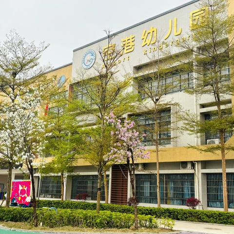 南宁经济技术开发区空港幼儿园第十周食谱