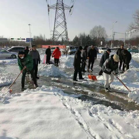 市政管护中心全力以赴清雪除冰保护绿植和保障市政设施完好