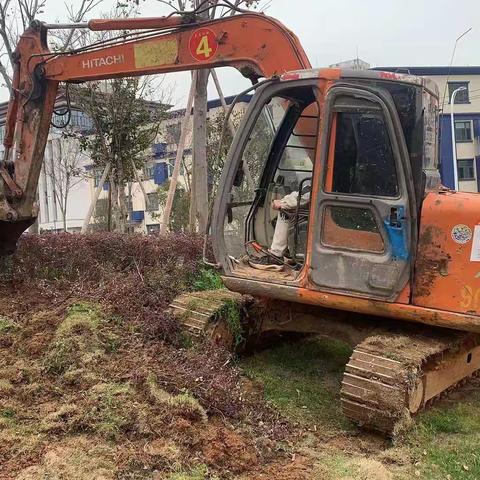 金华市江岭高新智造区基础设施配套工程道路绿化提升项目