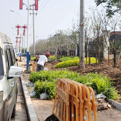 金华市江岭高新智造区基础设施配套工程道路绿化提升