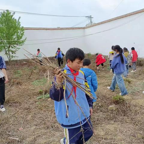 劳动砺心志，实践促成长