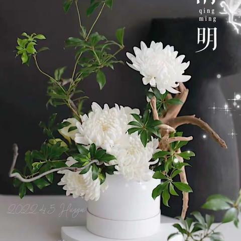 清明节美篇