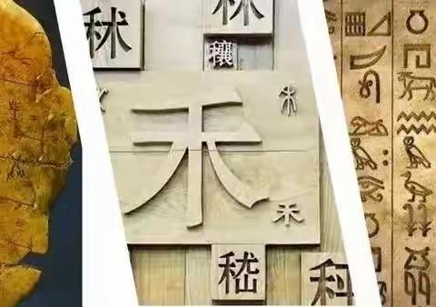 遨游汉字王国，探寻汉字趣味——东贾村小学五年级2班“汉字真有趣”综合性实践活动