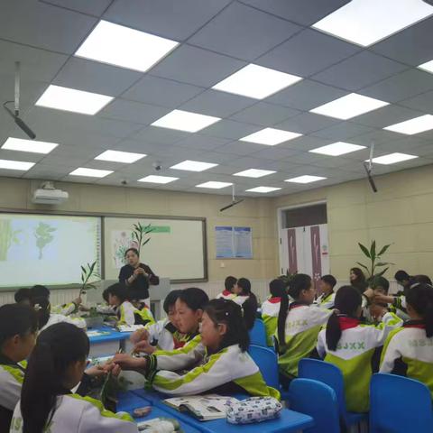 聚焦核心素养，深耕科学课堂——新乐市民生街小学开展科学联片教研活动