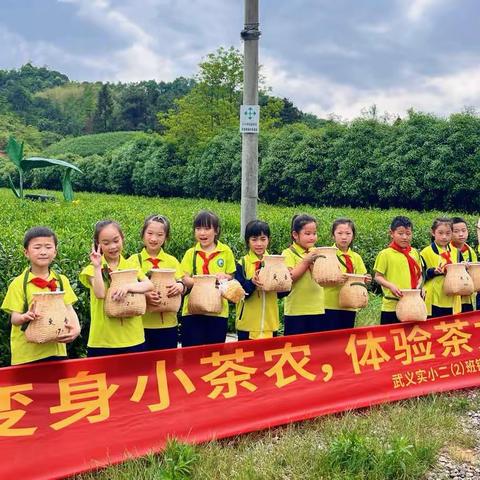 变身小茶农 体验茶文化