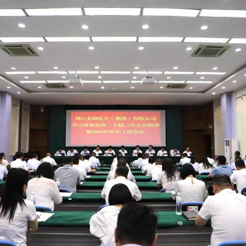 召开学习贯彻党的二十届三中全会精神暨2024年年中工作会议