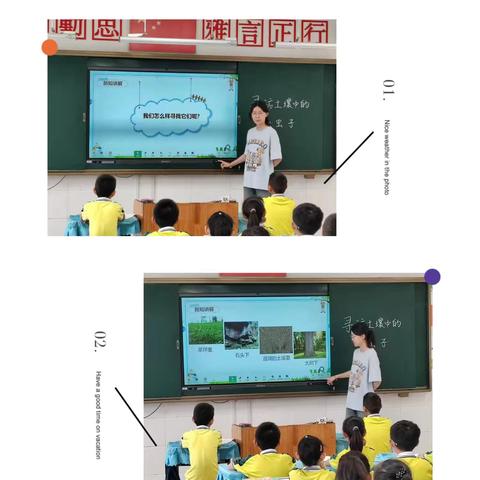 “秋日寻虫记——探索昆虫世界的奇妙之旅”