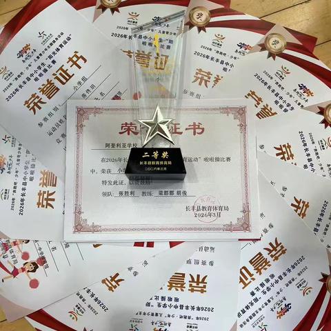 赛场绽芳华，舞动少年梦————长丰县阿奎利亚学校啦啦操队在长丰县阳光体育赛事中喜获二等奖！