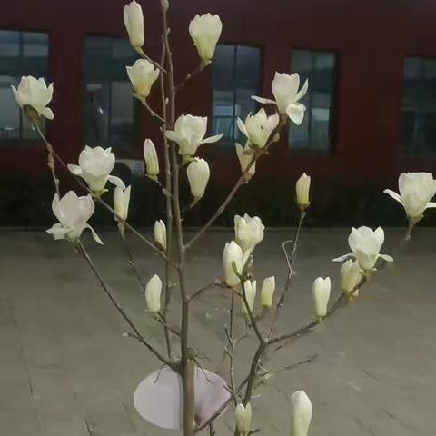 以研赋能明方向，以教提质促成长