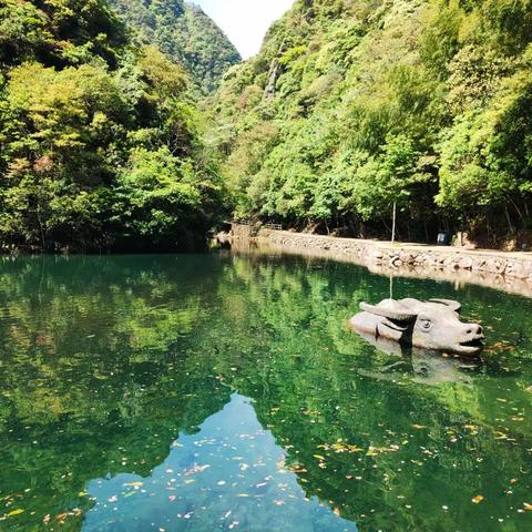 聚焦发展，推陈出新——后疫情时代乡村旅游发展路径