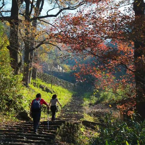 深秋·陶宴岭 11.26日，古道红枫、寂静山岭、风景独特、徒步赏秋好去处！