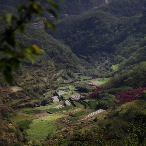 徒步上虞笤花岭