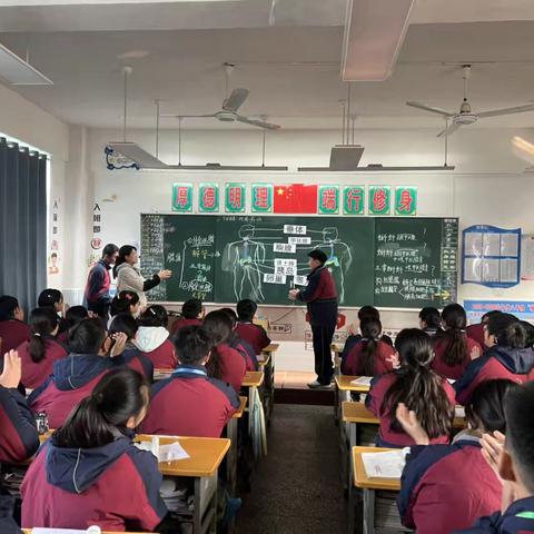 生物课例研究：人体的激素调节