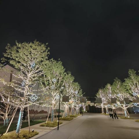 良渚文化村—新开市的玉鸟集之夜景