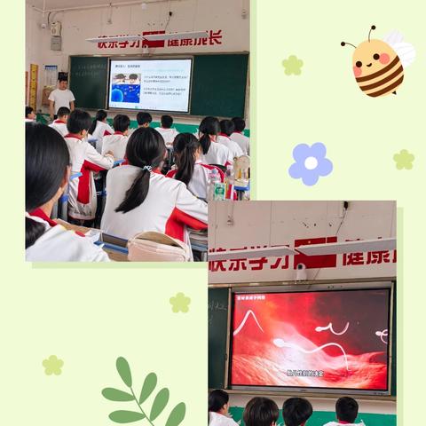 探索人的性别决定之谜——记兴义市昌文学校2026.5.21地生组教研陈本云老师公开课