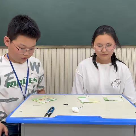 辛集市小辛庄乡小章小学劳动技能精品展示——六年级缝沙包