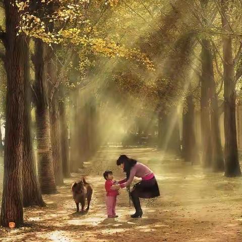 《是你，把爱全给了我》——任村镇中心小学四(3)班母亲节活动