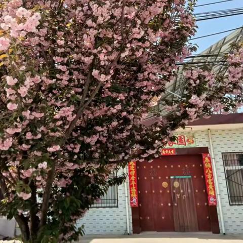 徐杨街道新华村持续开展环境卫生整治