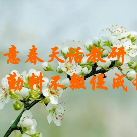 真实教育•专业成长|诗意春天话教研，勤耕不辍促成长——乌兰哈达小学校本教研活动纪实（第四期）