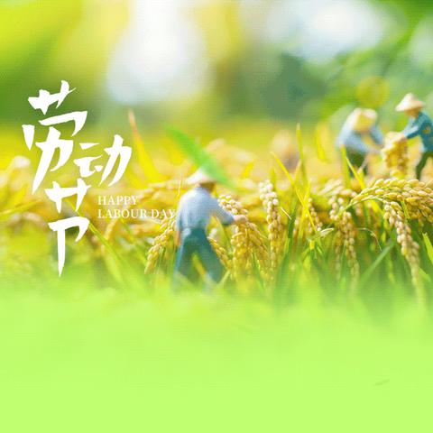 廉洁提醒