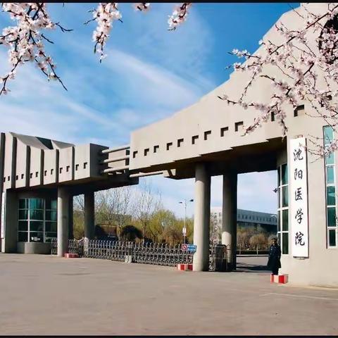 于洪支行“工行惠金融 情暖医学院”反诈宣讲会