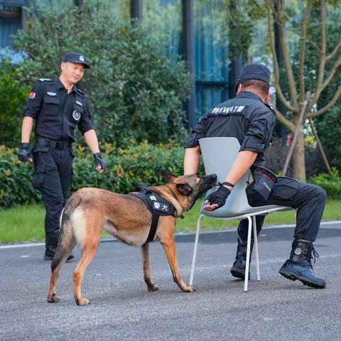 【Day2】衢州未来少年警校一日体验营报名啦，想圆警察梦的小警察们，赶紧识别二维码报名哦~