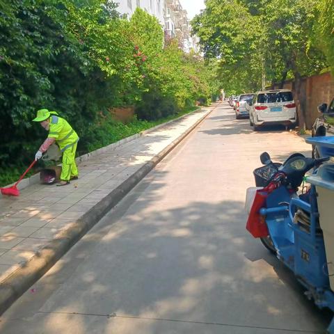 【宜良玉禾田】清扫街巷净，辛劳换城明