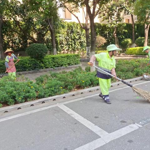 【宜良玉禾田】街巷洁净美，环卫功不浅