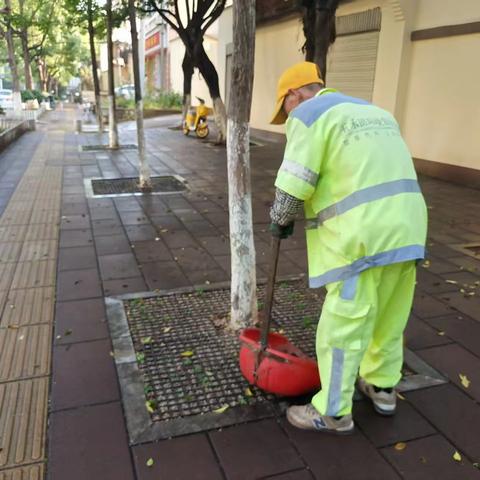 【宜良玉禾田】扫街清厕净，养绿护城盛