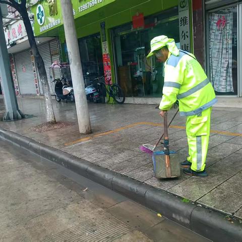 【宜良玉禾田】寒雨锁冬色，绿影绽温热