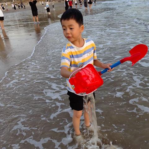 厦门四日 记那些发生在2024年末的事