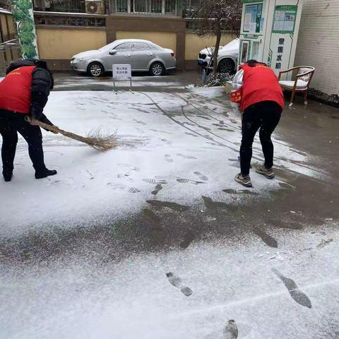 清雪除冰保出行  邻里服务站党员干部服务群众暖人心