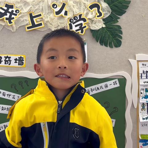 走进小学感悟