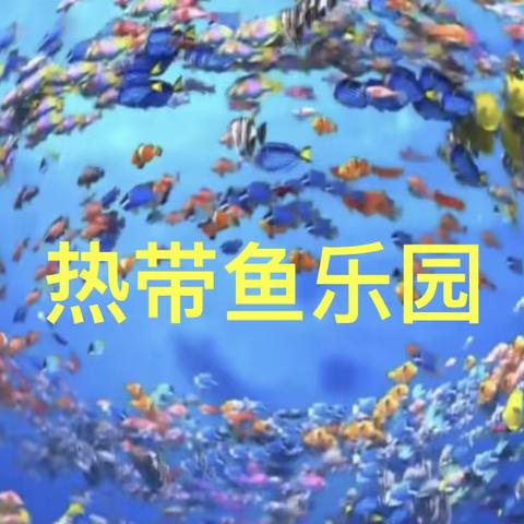 2023.03.23美术组集体备课活动一年级下册《热带鱼乐园》