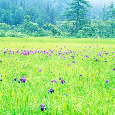 城市森活幼儿苹果班班3月份美篇