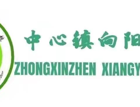 迎检风采，共筑教育梦 —— 依安县中心镇向阳学校热情迎接教育局督导组莅临指导