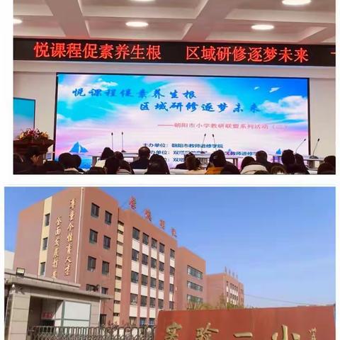 并蒂花开联动提质，“双减”路上携手同行——参加朝阳市小学教研联盟系列活动学习感悟