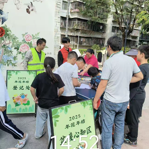 年花年桔收运的绿色答卷