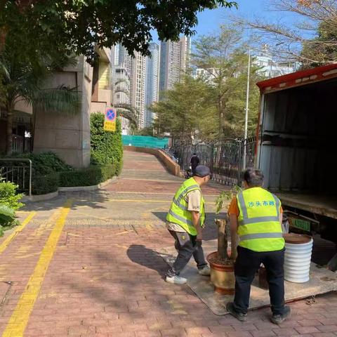 收运年花年桔，“拾”起城市绿色新希望