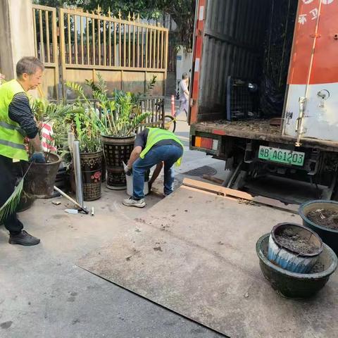 五月收运倒计时：福田年花年桔的最后环保接力
