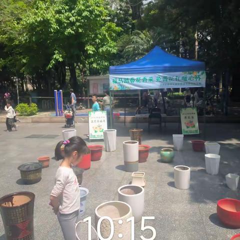 小小花盆传温情，美化家园齐参与