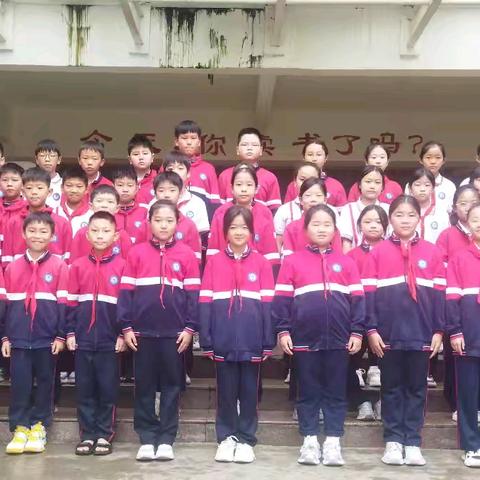 家校同心，共育成长 —— 伊洛小学五六班家长会圆满落幕