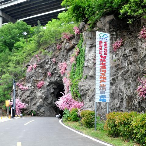 燃情五月、相聚元湾 ——嵩县白云健走队户外健走郊游活动成功举办