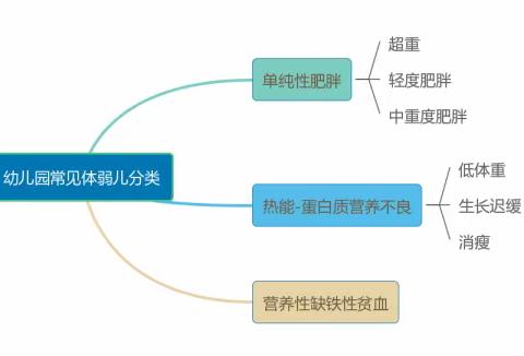 【卫生保健】  关注体弱儿，健康伴成长——文山三鑫佳乐幼儿园体弱儿居家管理