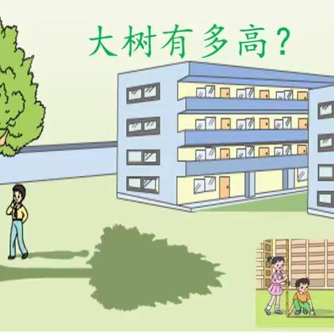 大树多高巧测量——孝德小学六年级数学实践活动