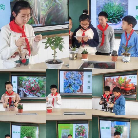 东门外小学的简篇