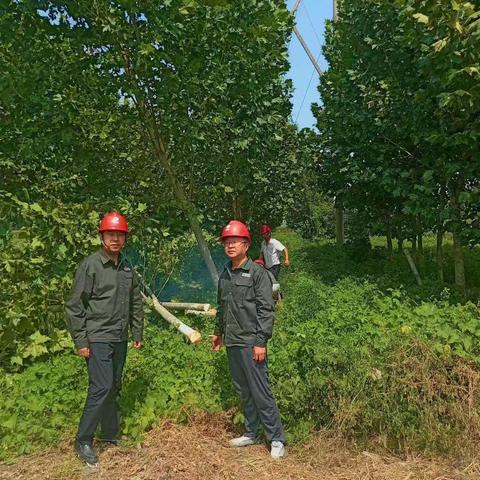 攻坚克难除顽疾 畅通线路保供电