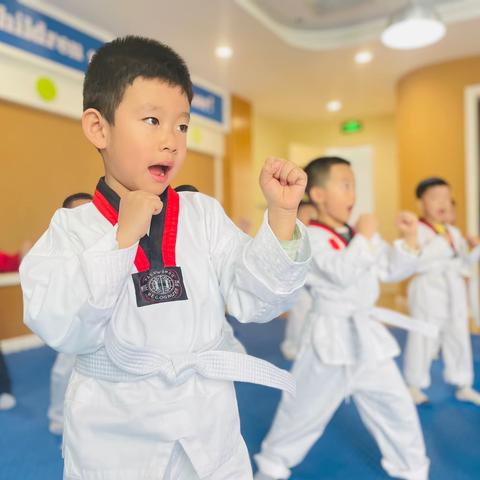 日昇辉幼儿园跆拳道活动展示