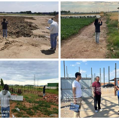杨家套镇重点工作周报（6.12—6.18）